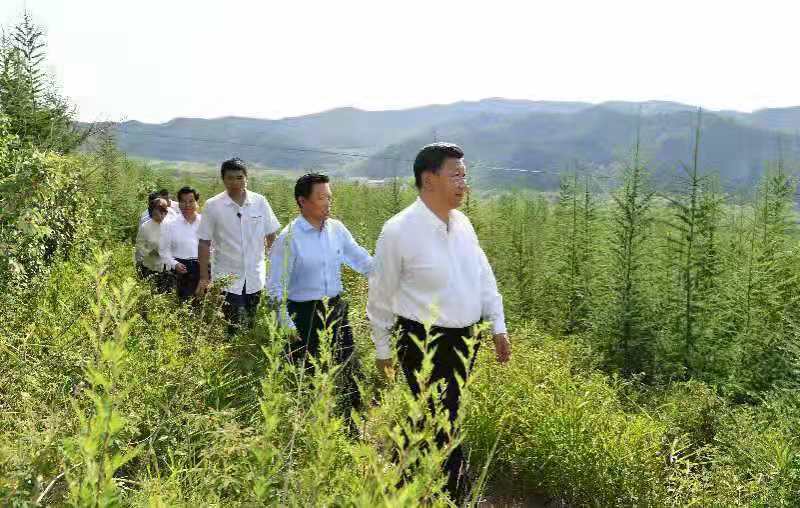【独家视频】习近平:建设生态安全屏障要世世代代去做 大发888在线娱乐