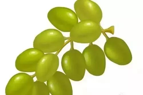 你还担心胖吗?十个低热量食物减肥菜谱!