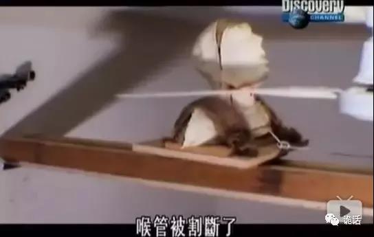                     最担心的事发生了！8个月大婴儿身亡，只因这个动作，夏天千万当心……