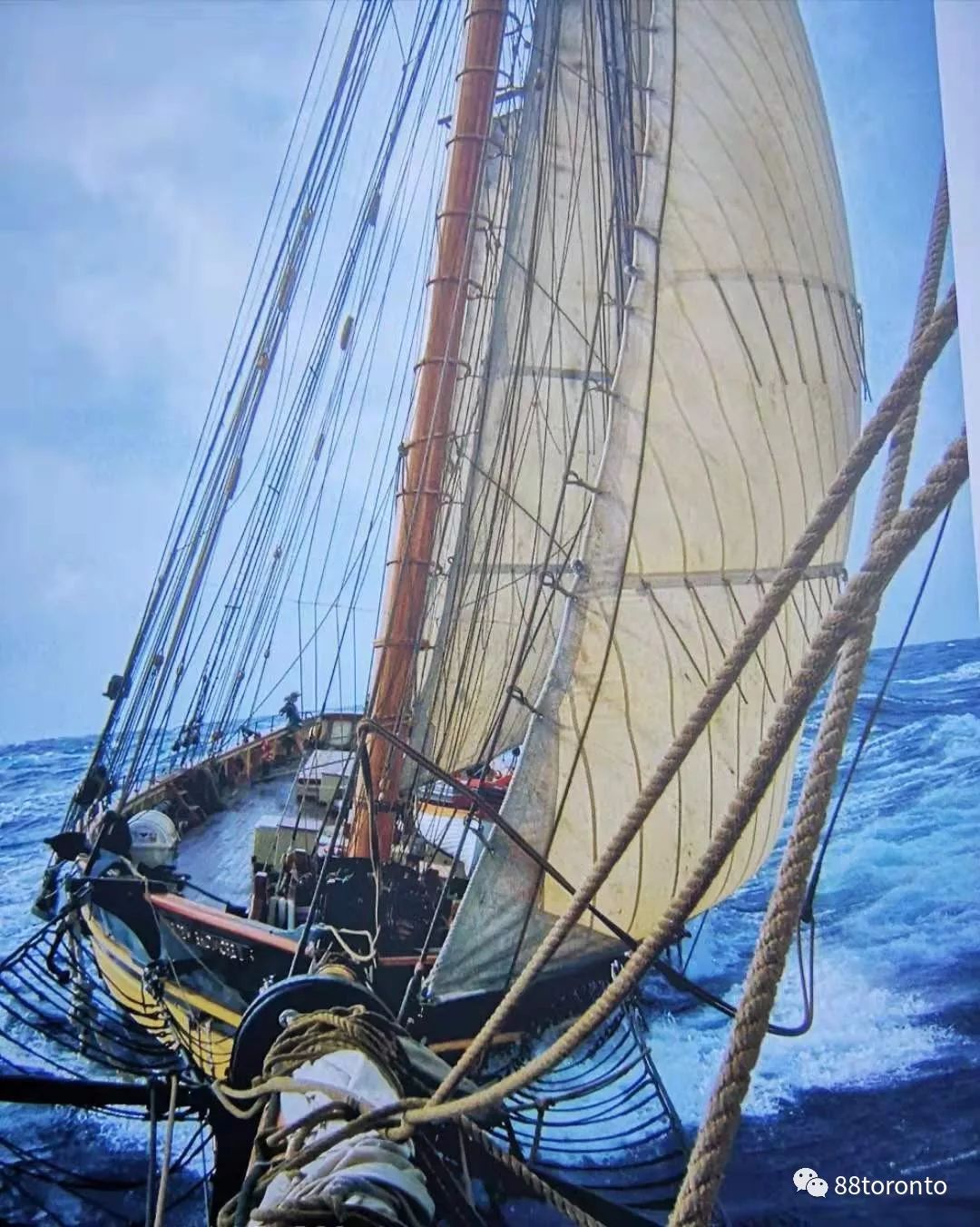 蓝鼻子快船来到多伦多,古帆船,海盗船也赶来了