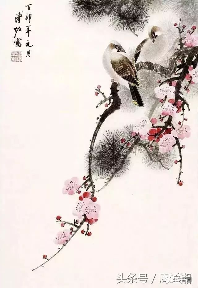 溥佐梅花小鸟,干净典雅,甚是清爽!_花鸟