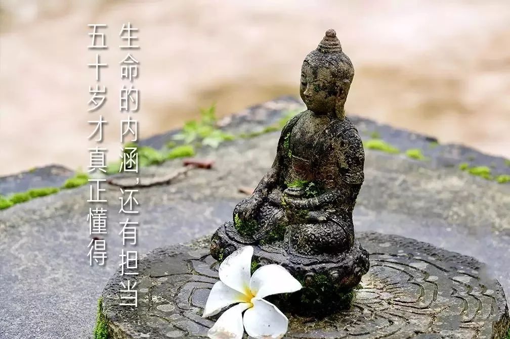 真正的人生从五十开始