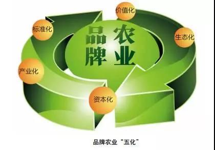 c4eb723c97dc4436937a147a761264fc.jpeg
