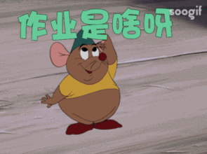 就是不写暑假作业