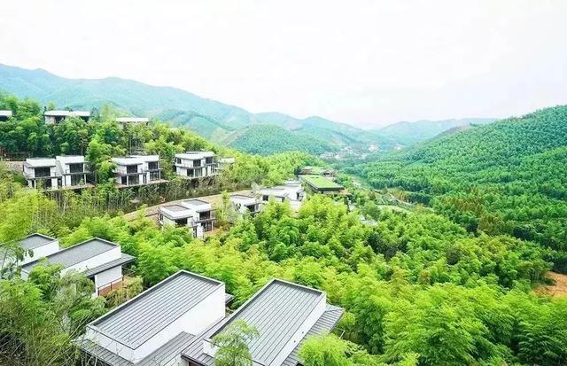 生命科学园属于哪个村 cefb03941e5849d298bcbc329ba92930.jpeg