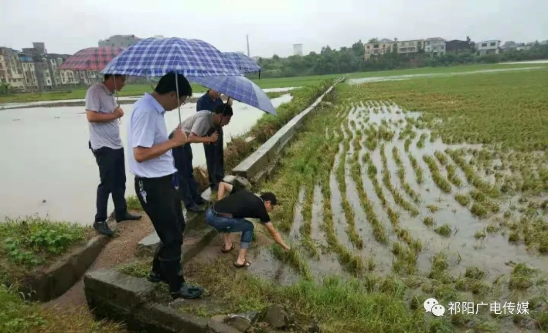 祁阳县总人口_祁阳县委书记黄景波