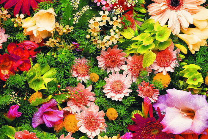 d5a13b70921249ee80e4cf031ef646a3.jpeg