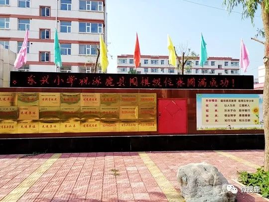 涿鹿县东兴小学返回搜狐,查看更多