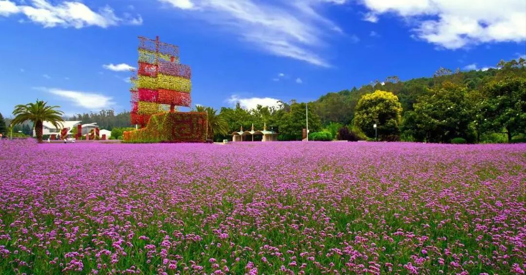 世界春城花都赴一场春暖花开之旅花界巴黎时装周昆明国际花卉展秀出云