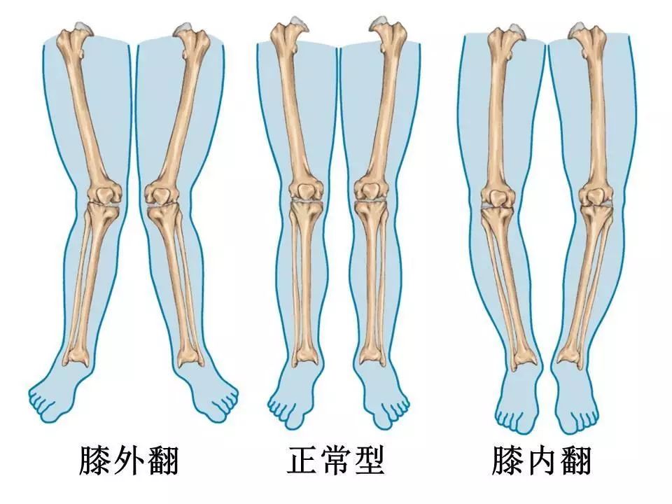 z型腔怎么搭_囗腔溃疡怎么治疗(2)