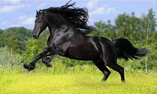 78年生肖马男适合哪种手串 e8fa2d89c3f644b2b794b1dd3cfee566.jpeg