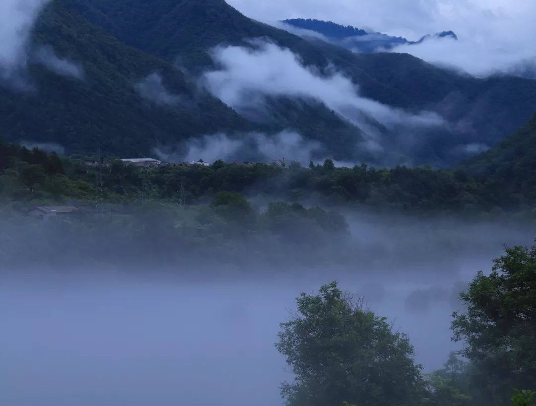 宝鸡这个终年云雾缭绕的村落,夏天只有19℃,原始森林