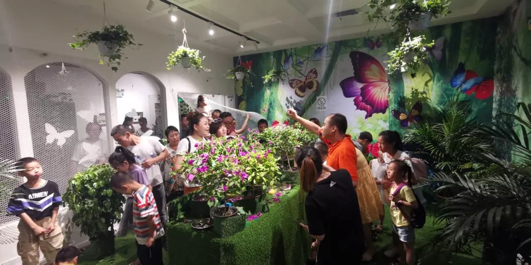 周五活动招募||大型昆虫展空降新疆!