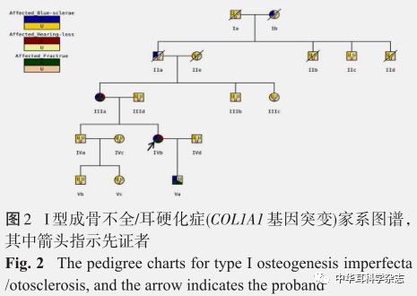 col1a1突变致i型成骨不全耳硬化家系的遗传和临床表型分析