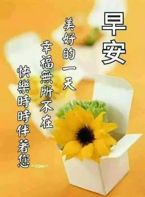 人只有一颗心,要学会剔除记忆的垃圾,早安