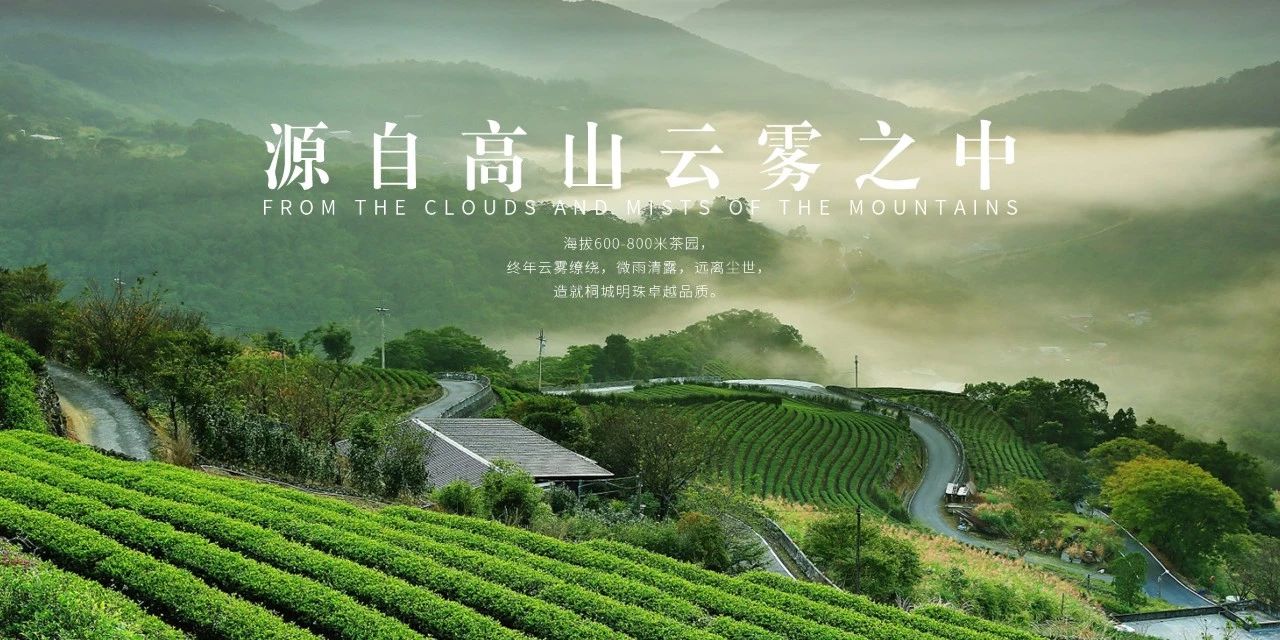 什么是高山帐 fefb2fbd3bed4d5b8f8f2dbf3b9b0e64.jpeg