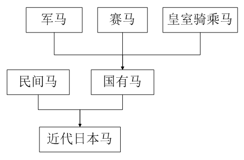 曾比驴子还迷你，为何最后成了“大洋马”，简述日本军马培育之路