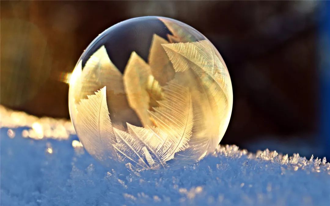 灯笼鱼是什么时候发现的 0aaf66c2a53f42c3be6a31df7c3c83f2.jpeg