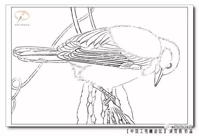 绘画的基本步骤 107cf47ae15d44819edab42011d0ae34.jpeg