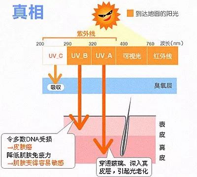                     我们的一不留神，就会给孩子埋下皮肤癌的定时炸弹
