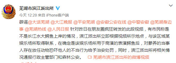 男子市区遛鳄鱼 警方：系表演鳄鱼，已对其进行处罚