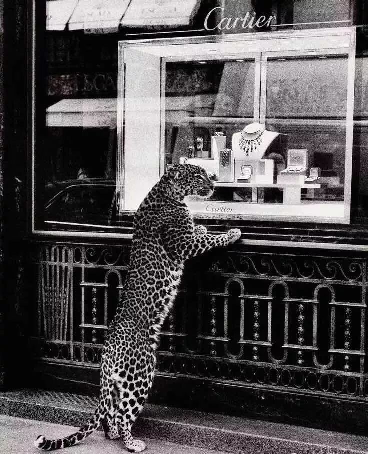 չ��ح�ʹ�������չ:��������,��η����