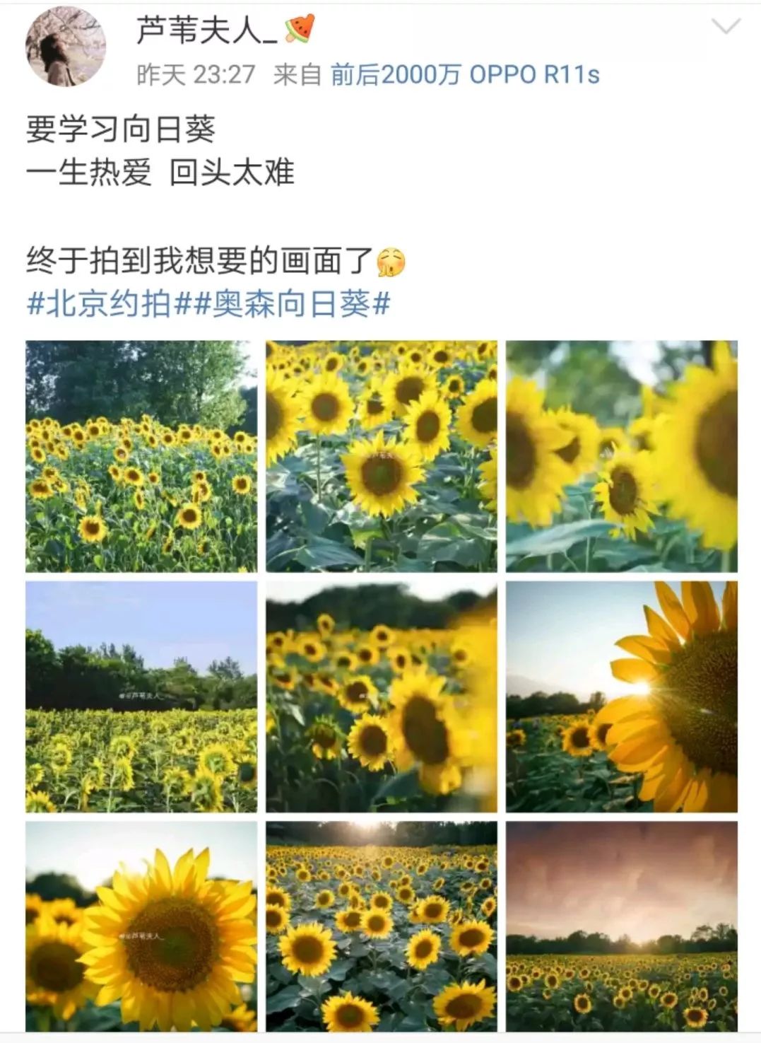 什么卑不亢成语_成语故事图片
