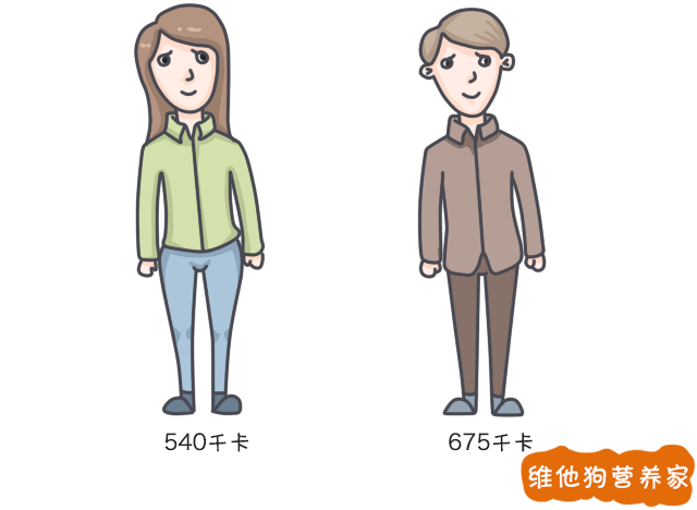 238230053386451c8e765cb50d04e87c.png