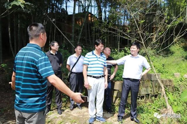 碓下村是石陂镇"7.