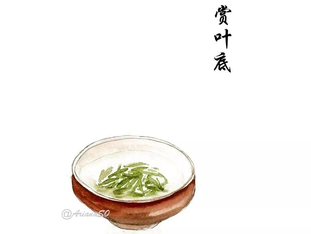 绿茶怎么泡为你画出来