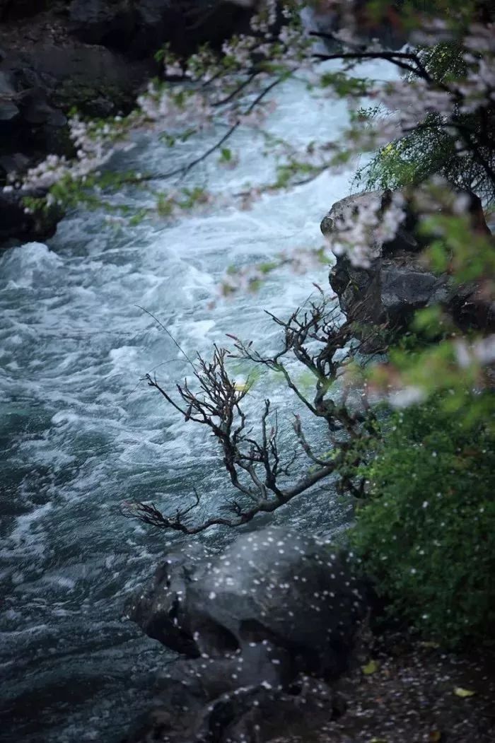 烟雨江南诗100首 2f9f5f525c3d446eb64a20495d0cf868.jpeg