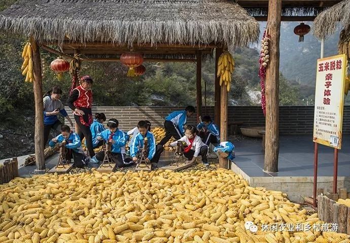 休闲农业经营理念落后将导致休闲农庄的五大误区开云 开云体育平台(图5)