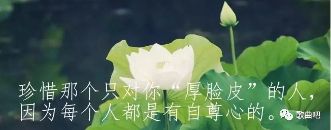 民歌经典 云飞·云朵·王二妮·乌兰图雅·苏