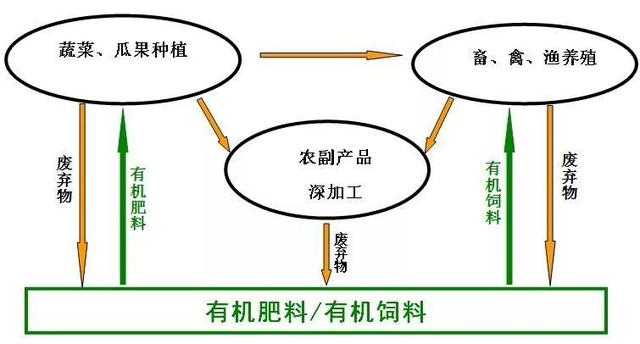 啤酒人口结构_啤酒图片真实(3)