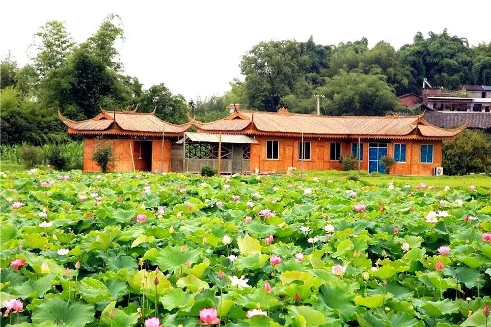 宜宾8大最佳赏花胜地在这里!城区,高县,长宁