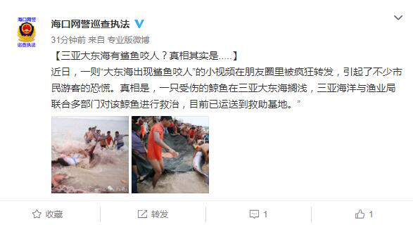 鲨鱼视频咬人 574a066745be467d89b9b2d63d2538b6.jpeg