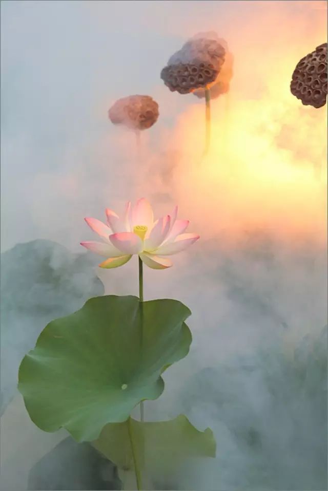5b03410f65344217a7d30c6b4e7cb88f.jpeg