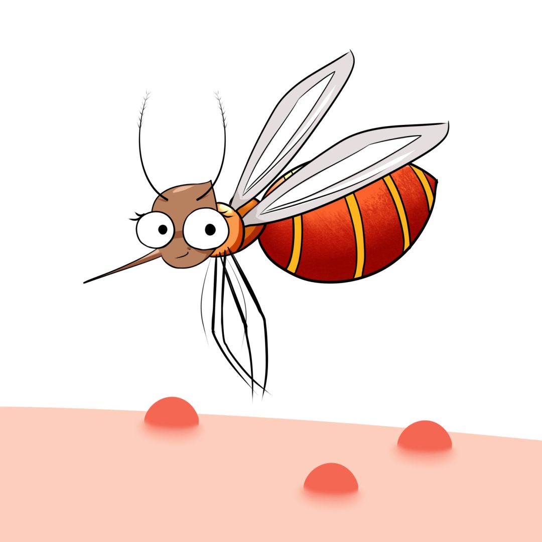 为什么蚊子只咬你？你知道被叮后如何消肿止痒吗？_科普中国网