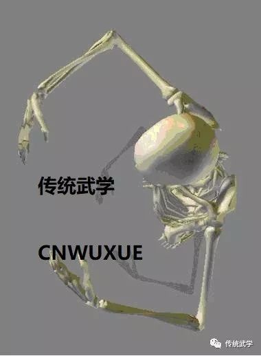 62886532658d44138ebb176a222deefb.jpeg