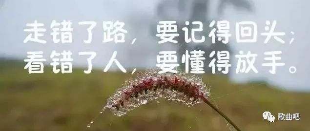 635dcd9f84914b708721eb275cde4ac9.jpeg
