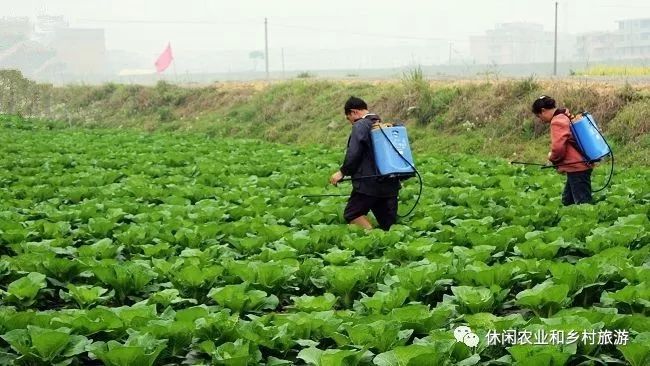 休闲农业经营理念落后将导致休闲农庄的五大误区开云 开云体育平台(图10)