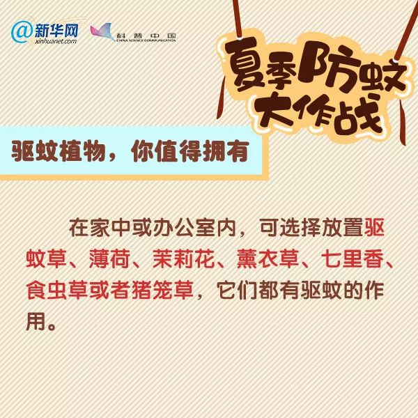 夏季蚊虫叮咬 驱蚊方法 驱蚊产品_诱杀蚊子