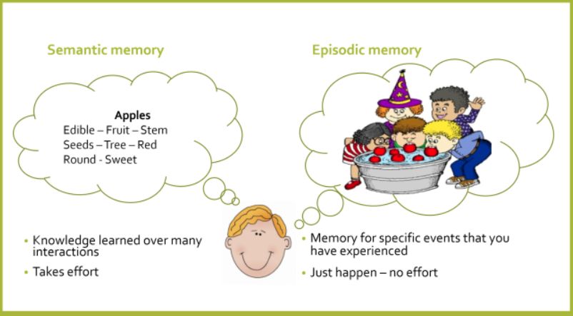 Semantic Memory-Personal Narrative