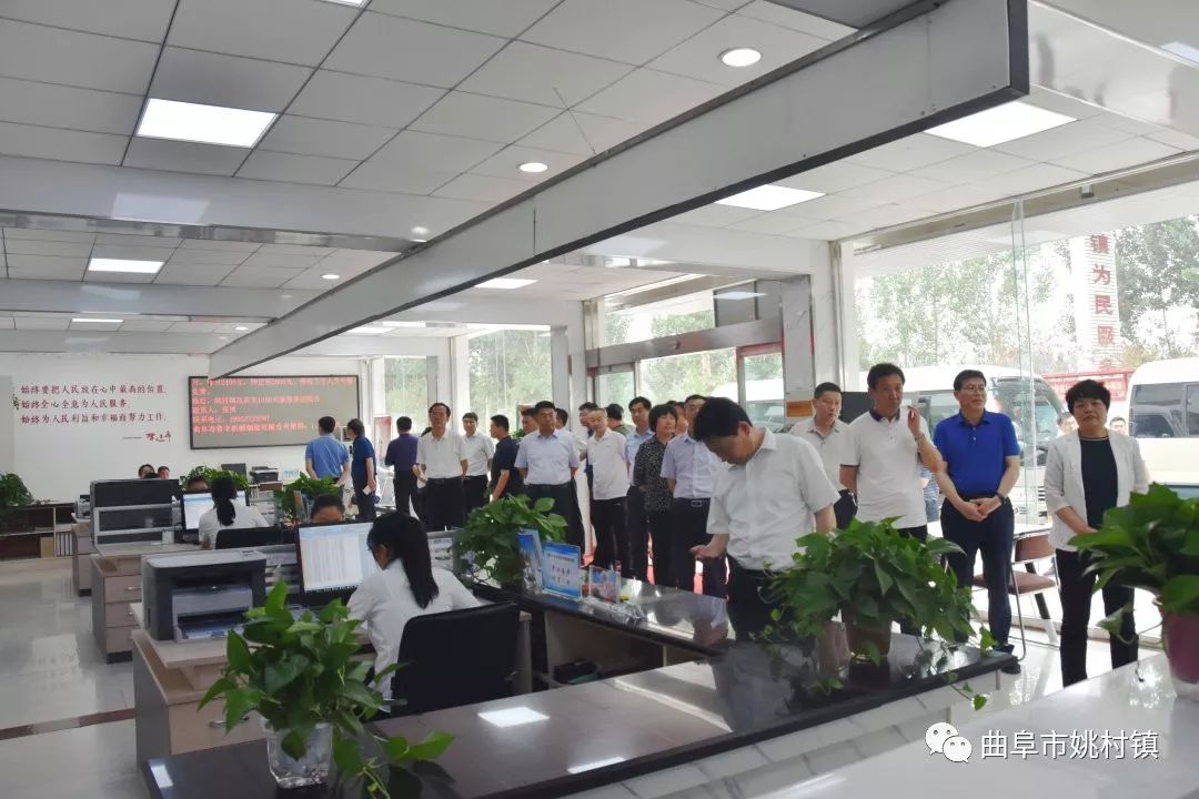 姚村镇经济总量_姚村镇薛村小学图片(3)