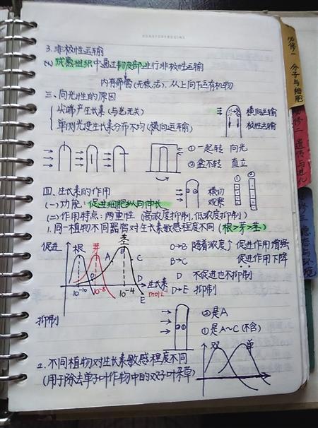 而这些学霸们的笔记就没有这样的问题出现,只见纸面上的字体大小都