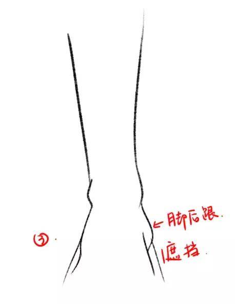 正面的脚的图片 7aba7a2f161a4c4685fb3ff64e87b380.jpeg