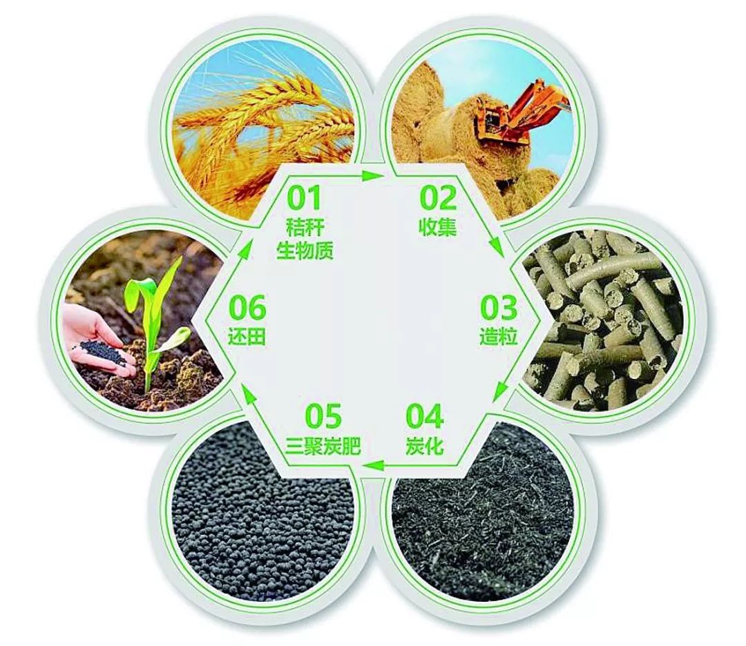 正在变成黑色的生物炭