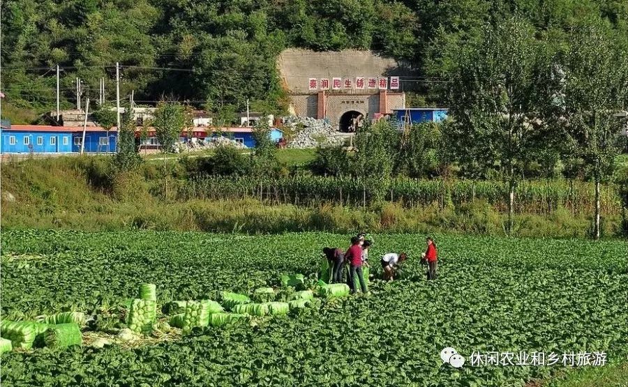 休闲农业经营理念落后将导致休闲农庄的五大误区开云 开云体育平台(图11)