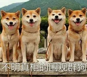 文字 | 这些真的不是乱码,是汉字!竟然一个都不