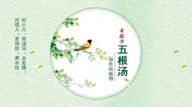                     【古方】春晚上的25个舞者中竟有18个是因发烧时滥用抗生素致聋！